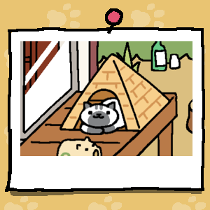 Melange is a white cat with a grey spot on their mouth, ears, and paws. Melange has two grey stripes on their head. Melange looks out from inside the Tent (Pyramid).