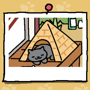 Shadow is a light grey cat. Shadow is sleeping in the Tent (Pyramid) with their front paws and head sticking out.
