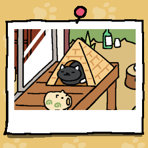 Socks is a black cat with white ears, paws, and tail. Socks is sleeping inside the Tent (Pyramid) in a "cat loaf" shape.