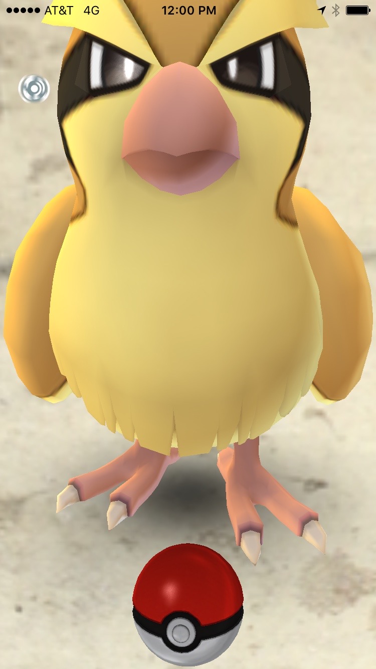 pidgey toy