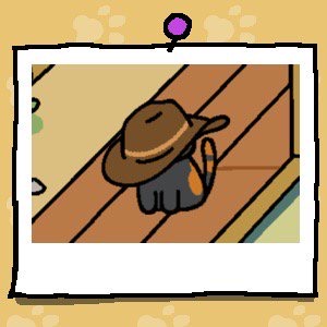 Bandit is a black cat with a dark orange spot on its side and a black and dark orange striped tail. Bandit wears an oversized brown cowboy hat on their head.