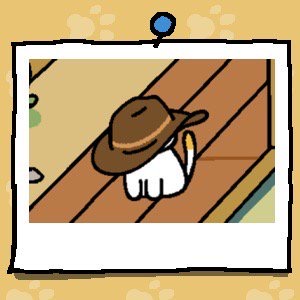 Dottie is a white cat with an orange spot on the tip of their tail. Dottie is wearing an oversized brown cowboy hat that covers their entire head.