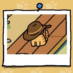 Fred is a light orange cat with slightly darker orange stripes. He is wearing a brown cowboy hat that is too big for him and covers his entire head.