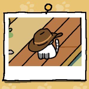 Melange is a white cat with grey front paws and a grey and white striped tail. They are wearing an oversized brown cowboy hat that covers their entire head.