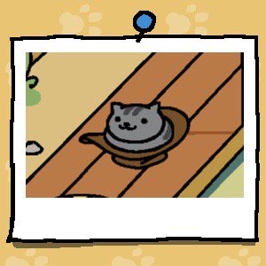 Misty is a grey cat with darker grey stripes in their head and back. Misty sits inside a large, brown, cowboy hat.