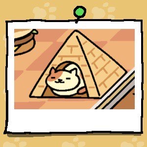 Peaches is a yellow cat with some large orange spots. Peaches is sleeping in a "cat loaf" shape inside the Tent (Pyramid).