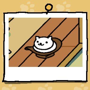 Snowball is a white cat. They are sitting inside an overturned brown cowboy hat.