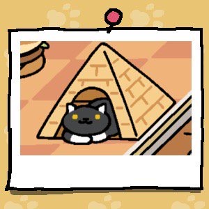 Socks is a black cat with yellow eyes. The cat has white ears and white paws. Socks looks out from inside the Tent (Pyramid).