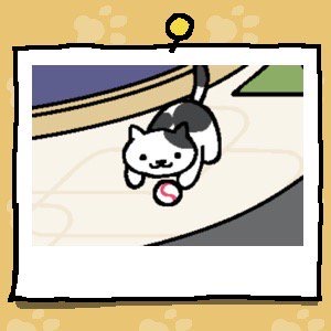 Spots is a white cat with several large black spots on their face and body. Spots is playing with a baseball.