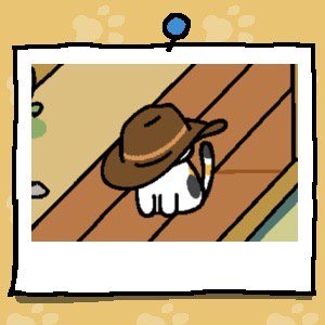 Sunny is a white cat with a black spot on their side and a tail that has white, black and orange stripes. Sunny wears an oversized brown cowboy hat that covers their entire head.