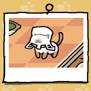 Chocola is a white cat with light brown paws, tail, ears, and nose. Chocola has stuck their head into a plastic bag.