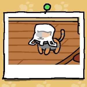 Spooky is a light grey and dark orange cat. Spooky has stuck their head into a plastic bag.