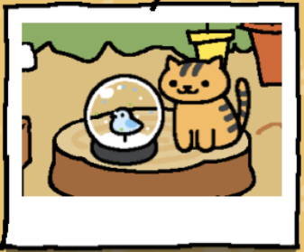 Bolt is an orange cat with black stripes. Bolt looks at the snow dome.