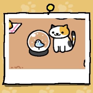 Sunny is a white cat with a large orange spot on their face and some smaller areas that have black spots. Sunny looks at the snow dome.