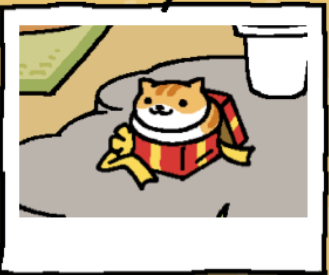 Pumpkin is a light orange cat with darker orange stripes. The lower part of the cat's face is white, as is their belly. Pumpkin sits in the red gift box.