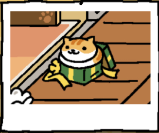 Pumpkin is a light orange cat with a white lower half of their face. The cat's belly is white. Darker orange stripes are on the cat's head and back. Breezy sits in the green gift box.
