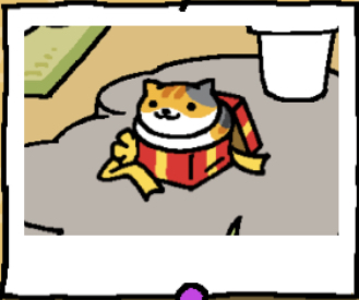 Tabitha is a calico cat with a light orange face. One ear is light orange, the other is grey. Two dark orange stripes are on their forehead, and the lower half of their face is white. The cat's body is multicolored. Tabitha sits in the red gift box.
