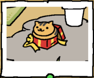 Bolt is an orange cat with black stripes on their head and back. Bolt sits inside the red gift box.