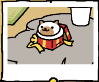 Chocola is a white cat with light brown ears and a large light brown spot around their mouth. Chocola sits in the red gift box.