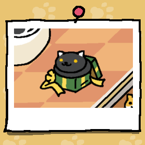 Socks is a black cat with yellow eyes and white ears. Socks sits in the green gift box.