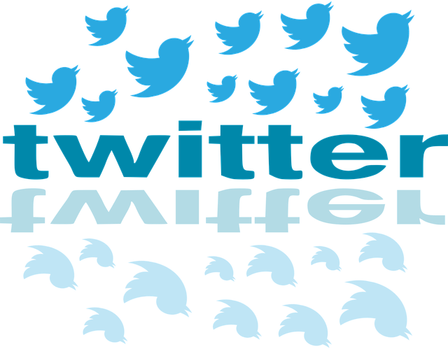 light blue birds in a flock that are shaped like the Twitter icon. Below them is the word Twitter. Beneath that is the word Twitter but upside down, and in a lighter color. Below that are light colored Twitter birds