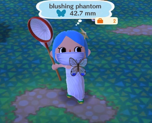 My Pocket Camp character holds up a pastel colored butterfly. The top two wings are nearly see-through. The bottom two wings have some blue color at the bottom.