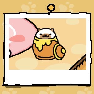 Chocola is a white cat with a light brown spot over their mouth and nose. The cat has two light brown ears. Chocola looks out from inside the Honey Pot.