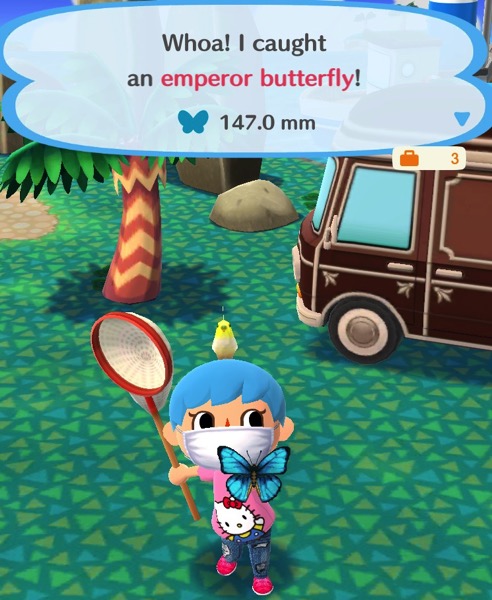 My Pocket Camp character holds up a medium sized butterfly. It is a bright blue color, with black around the ends of its wings.