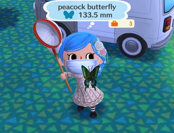 My Pocket Camp character holds up a large butterfly that has several shades of green, blue, and black on it. The colors resemble the feathers of a peacock.