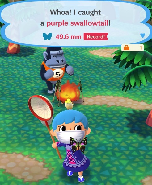 My Pocket Camp character holds up a butterfly that is mostly black in color. It has highlights of green, pink, and yellow on its wings.