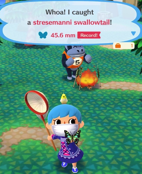 My Pocket Camp character holds up a butterfly that is mostly black. It has green and yellow on the inside of its wings.