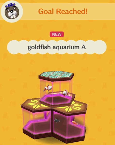 An aquarium with octagonal parts on the bottom and one more on the top. The top one holds two ranchu goldfish. The bottom one holds one black-wakin and one red-wakin. The glass is tinted pink.