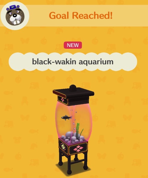 An aquarium with pink tinted glass holds one black-wakin goldfish, some rocks, a plant and bubbles.