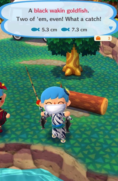 My Pocket Camp character holds up two black wakin goldfish.