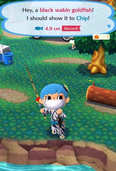 My Pocket Camp character holds up a black wakin goldfish.