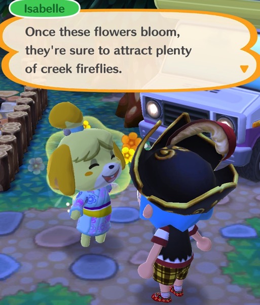 Isabelle explains to my Pocket Camp character that the flowers will attract creek fireflies.