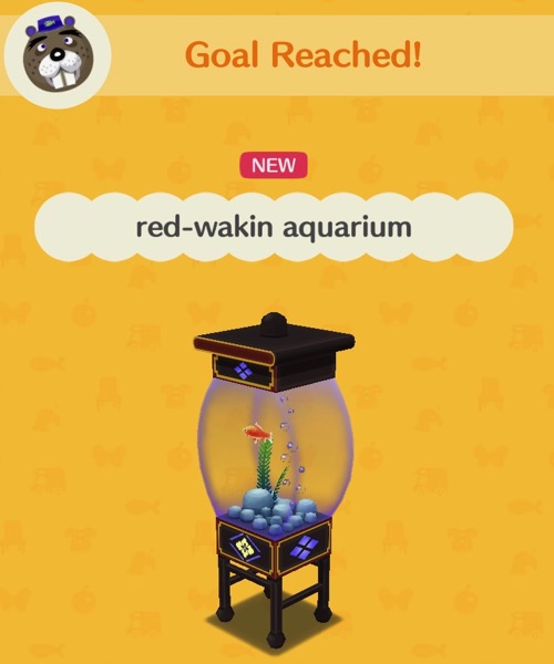 A small aquarium that holds one red-wakin goldfish, a plant, rocks, and some bubbles.  