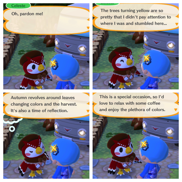 Four screenshots of an owl named Celeste talking to my Animal Crossing Pocket Camp character.