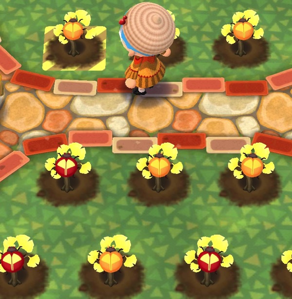 My Pocket Camp character stands in their garden with ginkgo plants and rare bugs. This is an above view of the chestnut harvest hat.