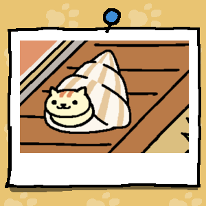 Apricot is a light yellow cat with light orange strips on their forehead. Apricot is looking out of the Shell Tunnel (White)