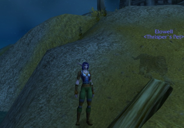 A Night Elf named Thrisper stands on near the water. Her combat pet Elowell, a striped cat, stands nearby. Elowell is in shadow.