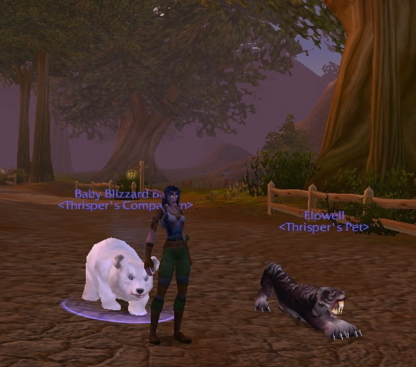 Thrisper hesitates before entering Goldshire. The (large) Baby Blizzard Bear is following behind her. Elowell is taking a moment to stretch.