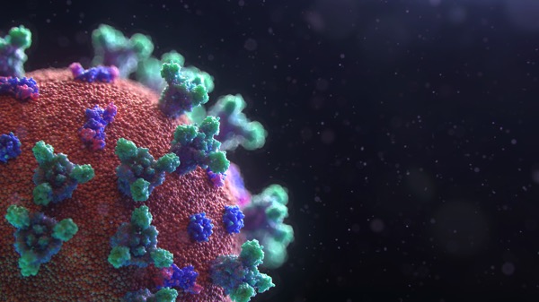 A colorful image of what a covid virus might look like from Fusion Medical Animation on Unsplash