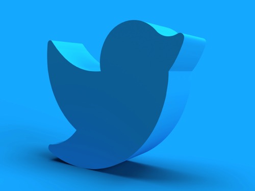 An image of a chunky version of the Twitter logo by Roman Martyinuk on Unsplash.