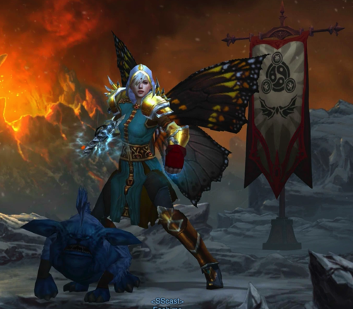 A Monk is wearing a mix of the "Tyrael" set of armor, and other pieces. She has butterfly wings on her back. Next to her is a banner on a post that has some symbols on it. A blue pug dog, that might be undead, appears to be barking.
