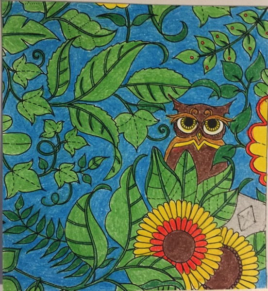 Many leaves, of light and dark green, and of different shapes, take up a large part of this coloring sheet. An owl looks out at the viewer from behind some large leaves. Two sunflowers are below the owl.