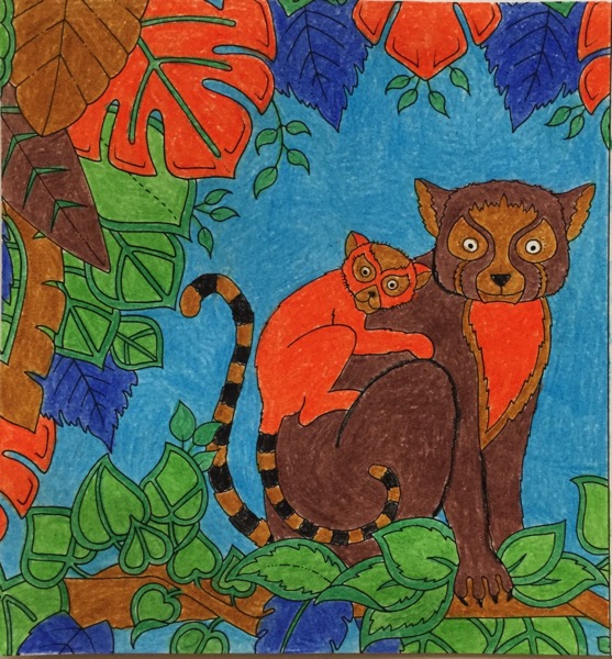 A fuzzy creature that resembles a lemur has a bright orange baby on its back. Both look out at the viewer. The lemurs are on a tree branch that is obscured by green leaves. Large leaves of various colors are above the and behind the lemurs.