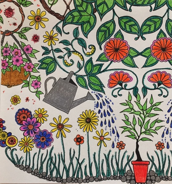 A watering can hangs from a vine that has leaves and flowers growing from it. The watering can sprinkles water on the flower that are below it. A small tree in an orange pot is at the bottom right hand corner of the coloring sheet. Above it are more large orange flowers and green leaves. On the left side there is a basket of small pink flowers that is suspended from a round curling branch. A ladybug is near the branch