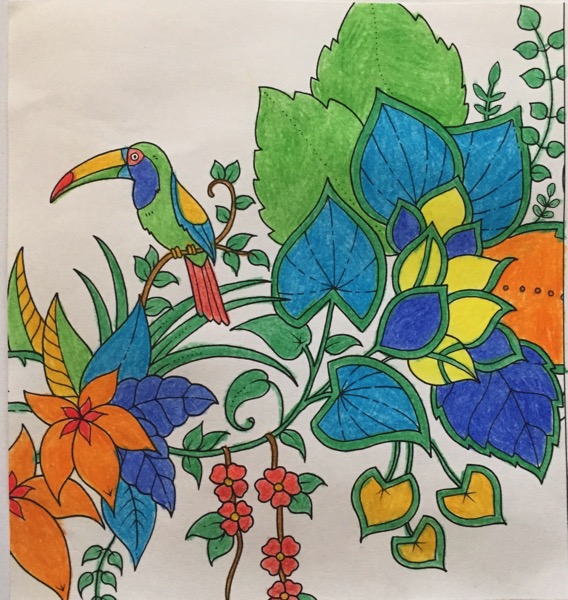 A brightly colored toucan sits on a small branch that has sprouted small green leaves. The rest of the coloring sheet is a mixture of very large leaves of a variety of colors, along with some brightly colored flowers and leaves