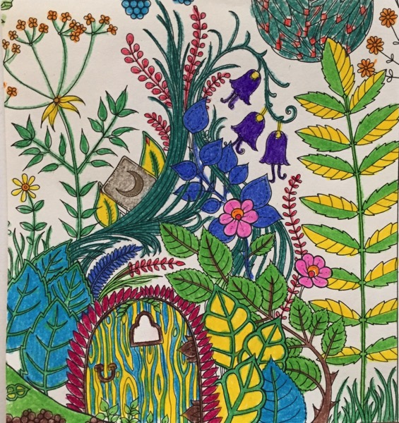 A door with a carved window and hinges is at the lower part of this coloring sheet. There does not appear to be any house or other structure for the door to attach to. A mixture of colorful vines grows up from behind the door. There is also a tall plant with leaves that are yellow and green. Weed-like flowers are on the left hand side if this image. 